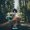 Download track Apologies (Original Club Mix)