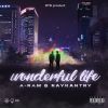 Download track Wonderful Life