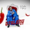 Download track Aiye