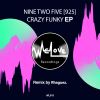 Download track Crazy Funky (Original Mix)