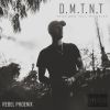 Download track DMTNT Intro