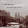 Download track Franck: 3 Chorals Pour Grand Orgue: No. 2 In B Minor, FWV 39