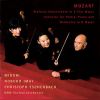 Download track Sinfonia Concertante In Es-Dur - 3. Presto