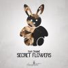 Download track Secret Flowers