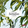 Download track 09. Sonata No. 31 In A-Flat Major, Op. 110 - II. Allegro Molto