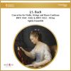 Download track Concerto For Violin, Strings And Basso Continuo In E-Major, BWV 1056a: III. Presto