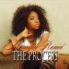 Download track The Process