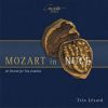 Download track Terzetti, KV 439b, Ter. 19 To 25: III. Menuetto – Trio (After The Manuscript From The Library Of The Counts Of Eng, Seisenburg-Recast For Trio D'anches)