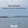 Download track Sea Mist