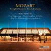 Download track Flute Concerto No. 2 In D Major, K. 314: II. Adagio Ma Non Troppo