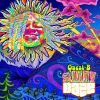 Download track Sunny Daze