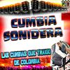 Download track Lo Que Traje De Colombia