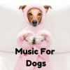 Download track Music For Dogs Peace