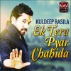 Download track Ek Tera Pyar Chahida