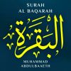 Download track Surah Al Baqarah, Pt. 3