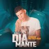 Download track Poze De Malandro