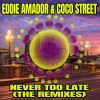 Download track Never Too Late (DJ IDeal Dub)