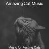 Download track Outstanding Ambience For Relaxing Your Cat