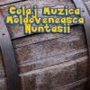 Download track Muzica De Petrecere Moldoveneasca Super Colaj