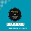 Download track Soul In Flames (Underground Pulse Sessions) (Instrumental Mix)