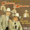 Download track Arturo Garza Trevino