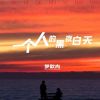 Download track 一个人的黑夜白天