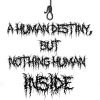 Download track A Human Destiny, But Nothing Human Inside