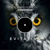 Download track Sonorous (Radio Edit)