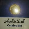 Download track Allaha Kul Olmuşum