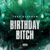 Download track Birthday Bitch
