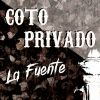 Download track La Fuente