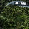 Download track Moonring (Extended MIx)