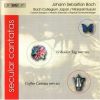 Download track 3. O Holder Tag Erwunschte Zeit Hochzeitskantate BWV 210 III. Recitativo So...