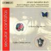 Download track 5. O Holder Tag Erwunschte Zeit Hochzeitskantate BWV 210 V. Recitativo Sopr...