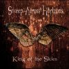 Download track King Of The Skies