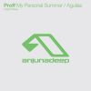 Download track My Personal Summer