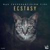 Download track Ecstasy