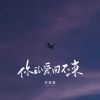 Download track 你的爱回不来