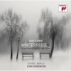 Download track Winterreise, D. 911 (Version With Piano Trio) - 7. Auf Dem Flusse