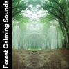 Download track Natural Calmness, Pt. 14