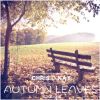 Download track Autumn Leaves (Radio Edit)