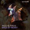 Download track Wild At Heart