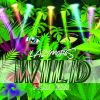 Download track Wild (Garage Punk Remix)