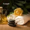 Download track Spa Treatment