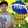 Download track Paixão Nacional (Copa Do Mundo 2014)