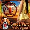 Download track Como El Perro Bebe Agua