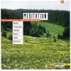 Download track Brandenburg Concerto No. 2 - Andante