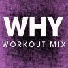 Download track Why (Extended Workout Mix)