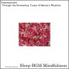 Download track Intimate Melodies Of Sleep's Embrace