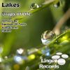 Download track Drops Of Life (Squeezer Of Tears Remix)